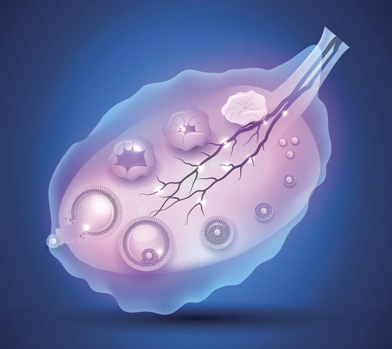 单身在上海做试管多少钱2026年？